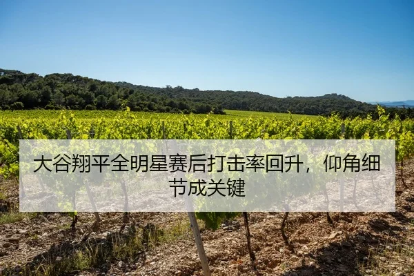 大谷翔平全明星赛后打击率回升，仰角细节成关键