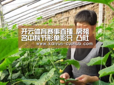 开云电竞APP